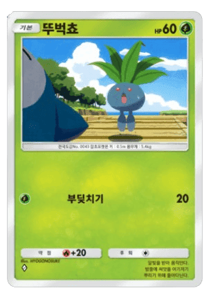 뚜벅쵸