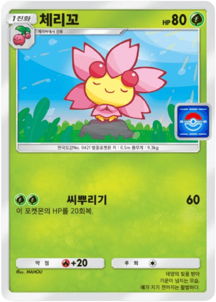 체리꼬