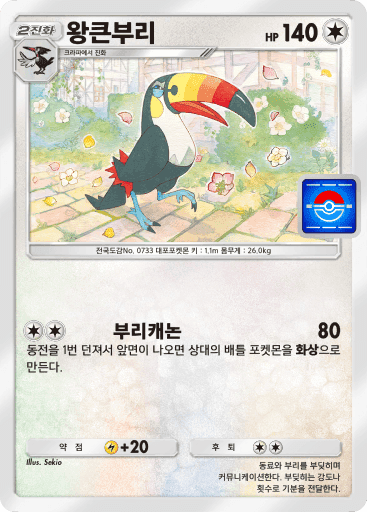 왕큰부리