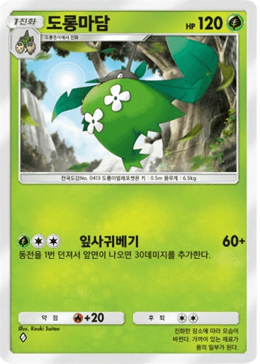 도롱마담
