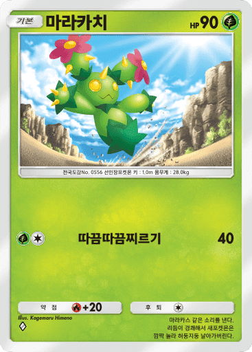 마라카치