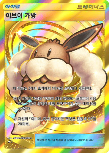 이브이 가방