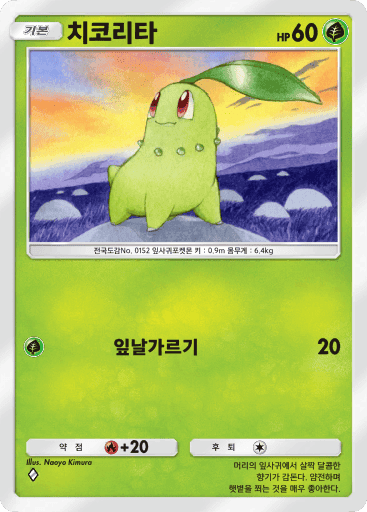 치코리타