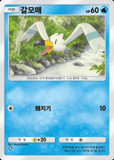 갈모매